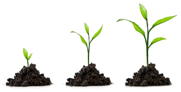 grow your blog