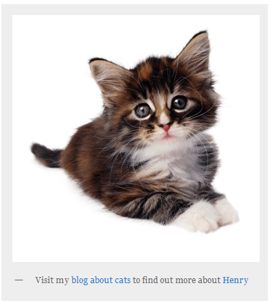 html-captions