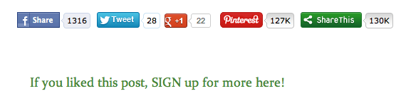 Karen Lee's Pinterest social media icons