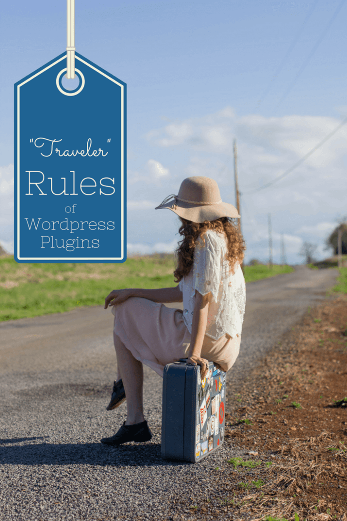 raveler Rules of plugin management